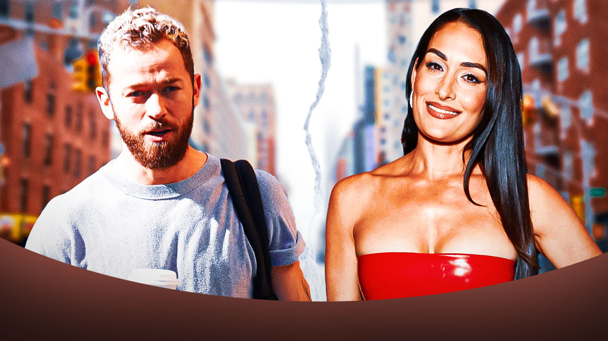 Nikki Bella, aka Nikki Garca, and Artem Chigvintsev, who the former WWE star will have to pay over six figures in child support, according to their divorce settlement.