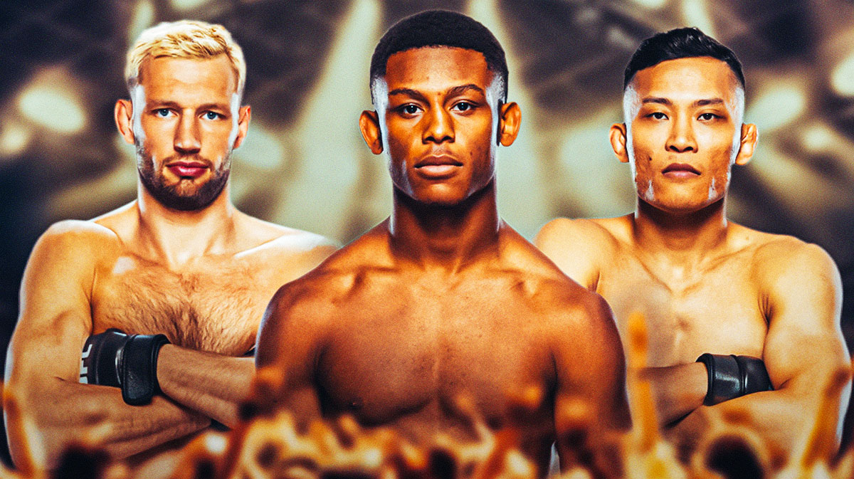 ufc iowa, reinier de ridder