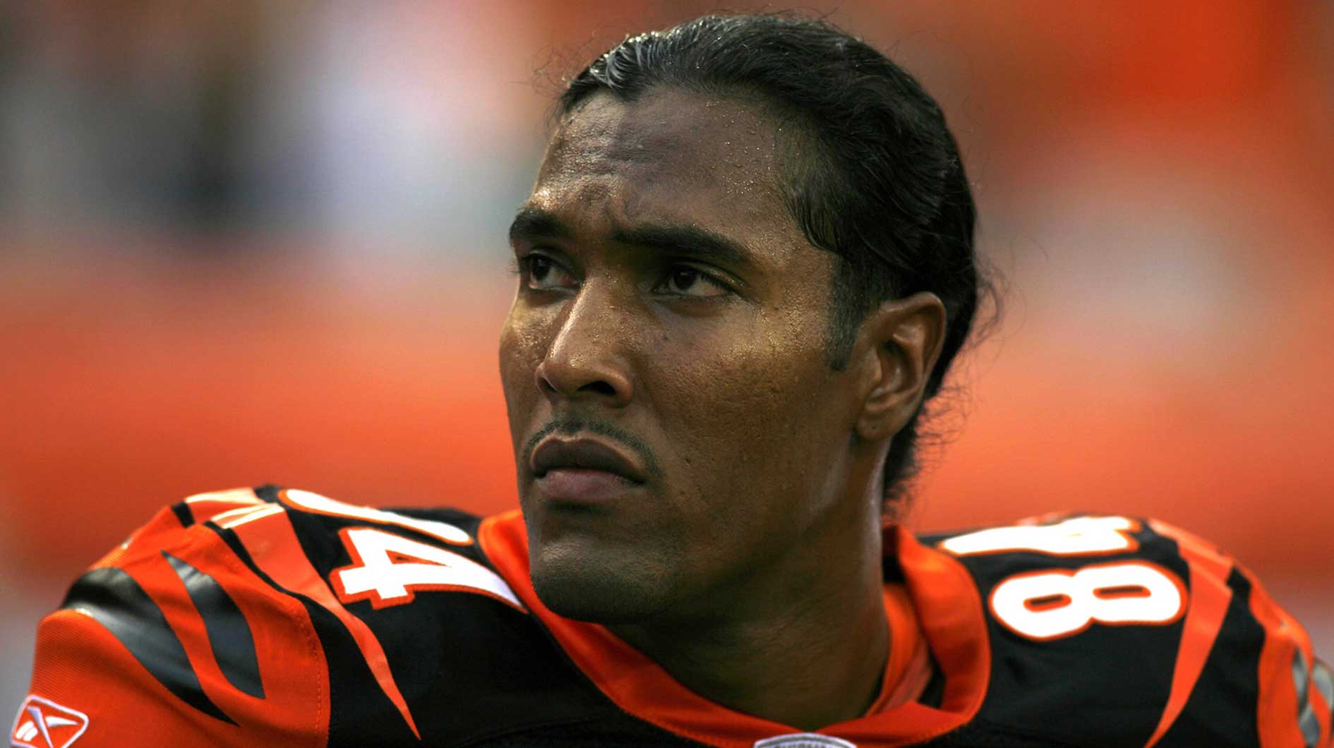 Cincinnati Bengals wide receiver T.J. Houshmandzadeh (84) looks at the crowd during the game against the Baltimore Ravens at Paul Brown Stadium.
