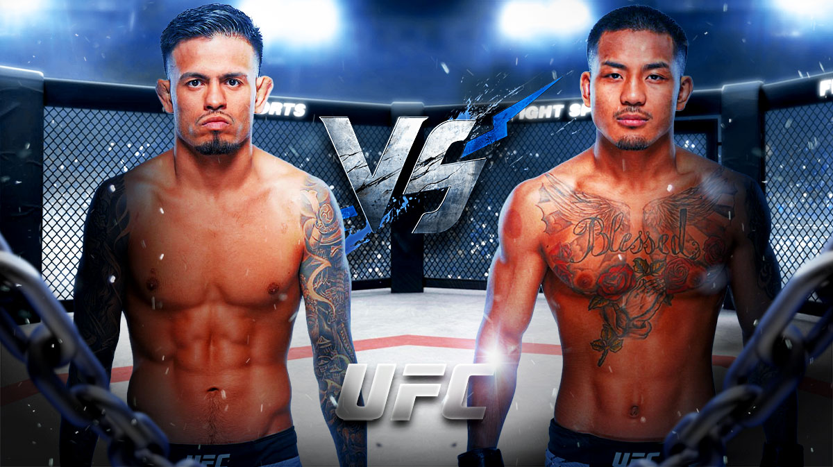 Royval Van prediction, UFC 317 odds