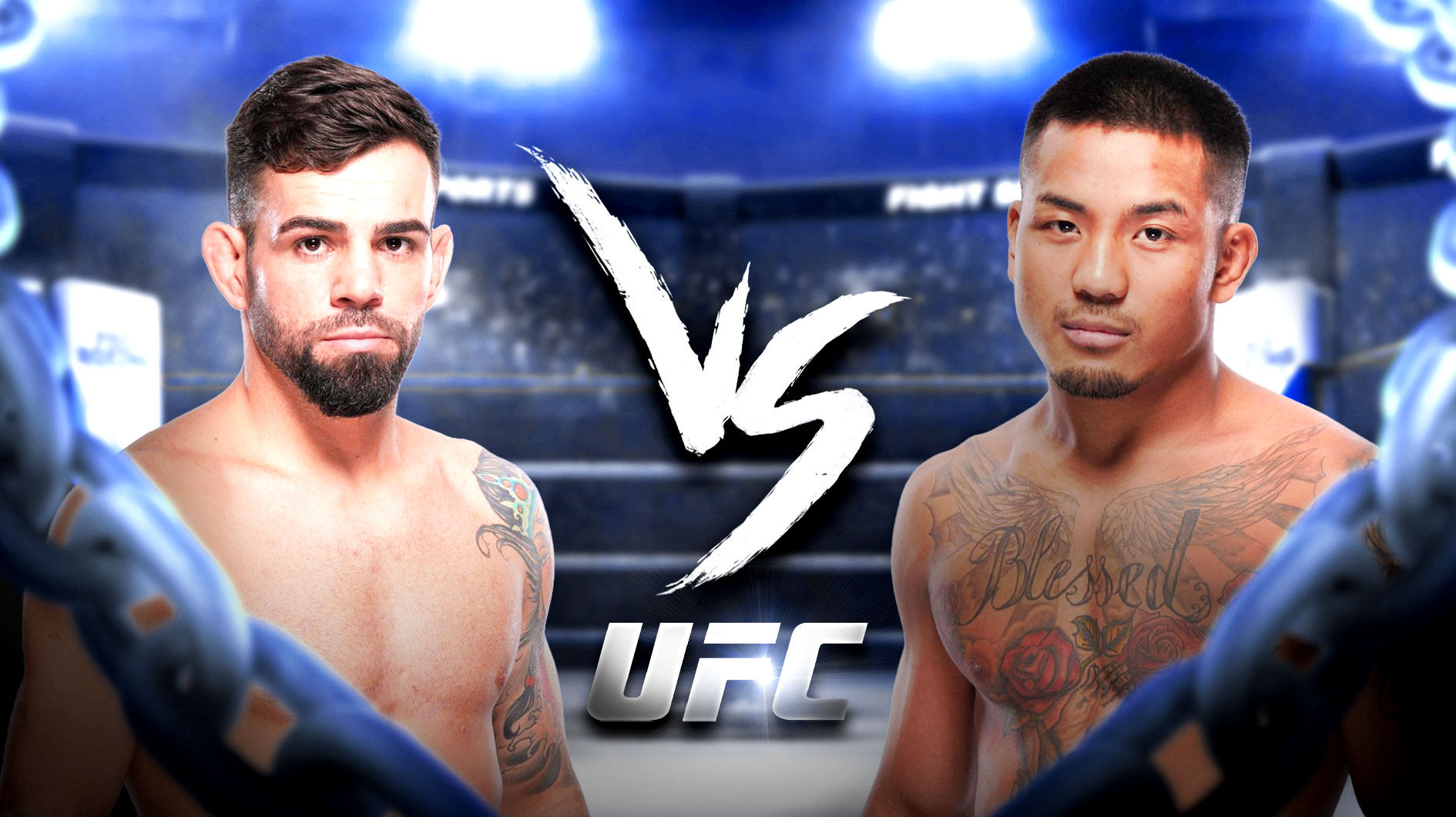 Silva Van prediction, ufc 316 odds