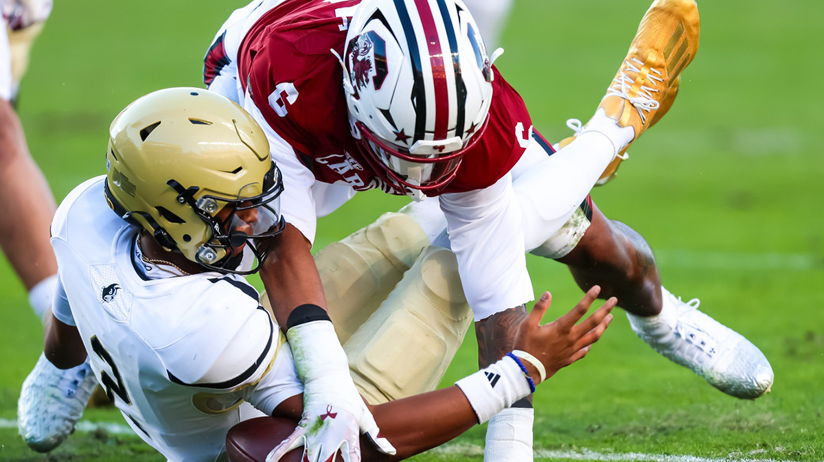 Wofford Terriers quarterback Amari Odom (2) and South Carolina Gamecocks edge Dylan Stewart (6) battle for a ball fumbled by Odom in the first quarter at Williams-Brice Stadium.