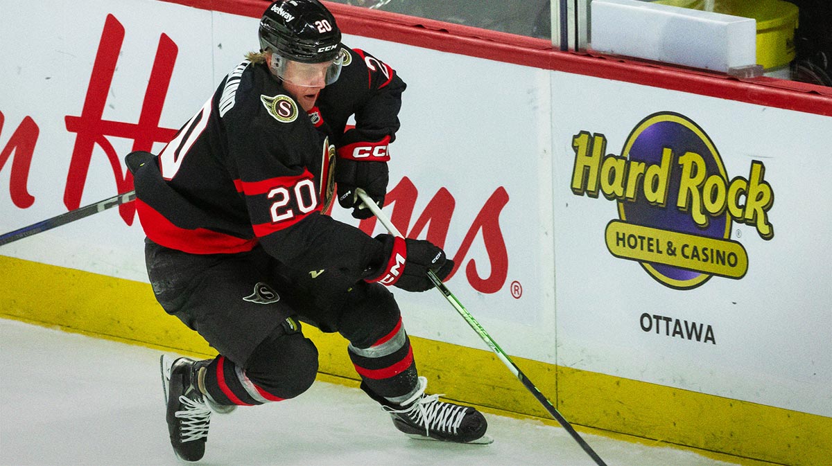 Ottawa Senators left wing Fabian Zetterlund (20) moves the puck in the third period against the Carolina Hurricanes at the Canadian Tire Centre