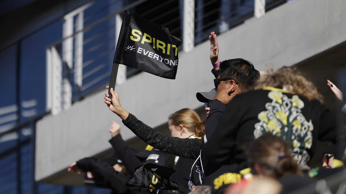 Fans cheer during a penalty kick shoot out between NJ/NY Gotham FC and the Washington Spirit in a 2024 NWSL Playoffs semifinal match.