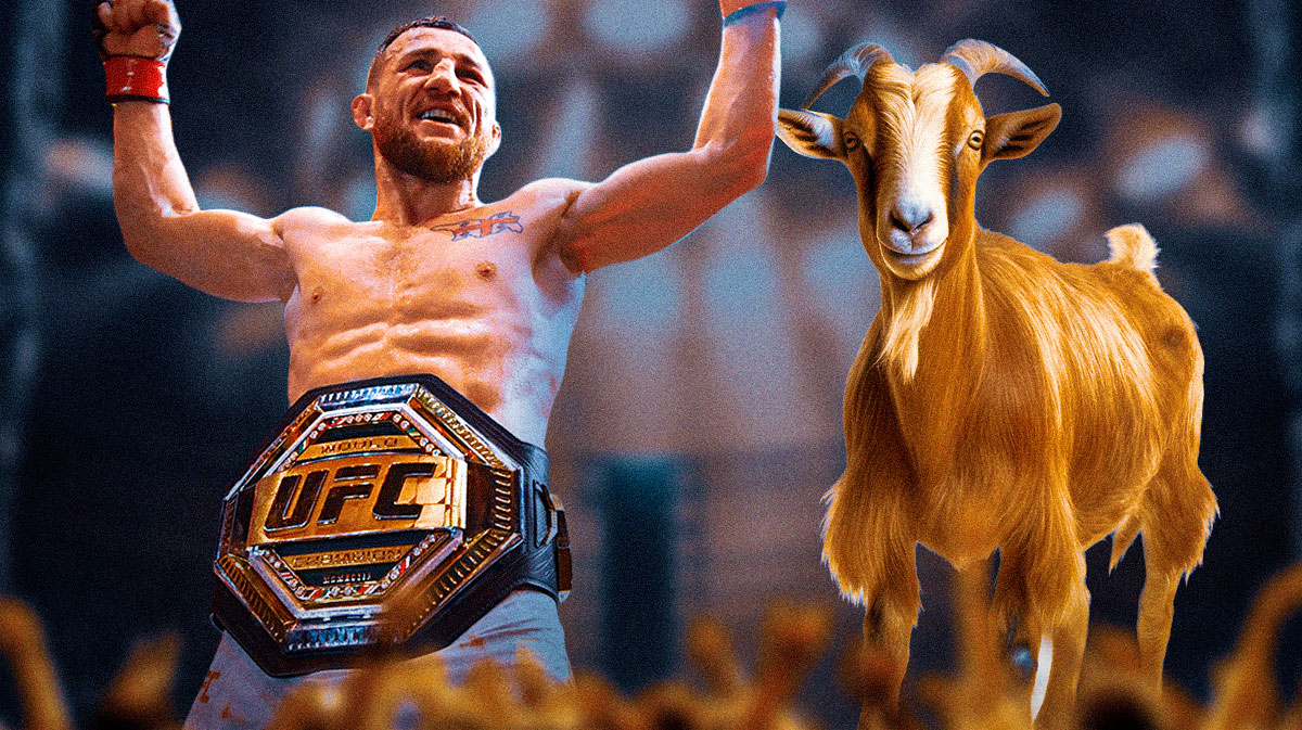 merab dvalishvili, ufc 316, sean o'malley