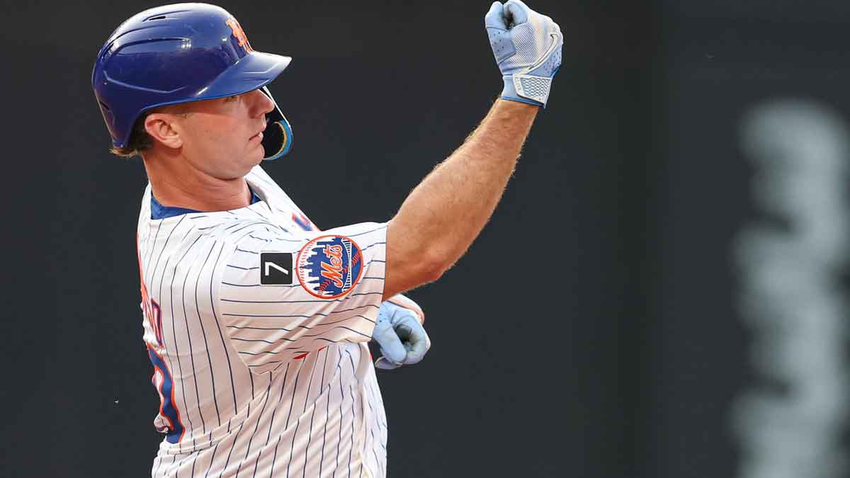 New York Mets first baseman Pete Alonso (20) reacts after hitting an RBI double during the first inning against the Washington Nationals at Citi Field.