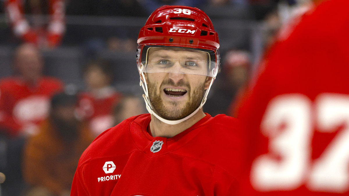 Detroit Red Wings right wing Christian Fischer (36) looks on during the first inning of the game against the Buffalo Sabres at Little Caesars Arena