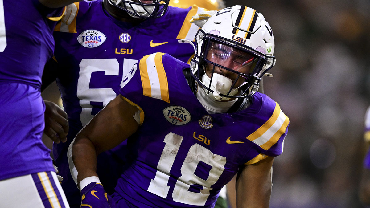 LSU Tigers running back Josh Williams (18) celebrates after scoring a touchdown during the second half against the Baylor Bears at NRG Stadium. The Tigers defeat the Bears 44-31.