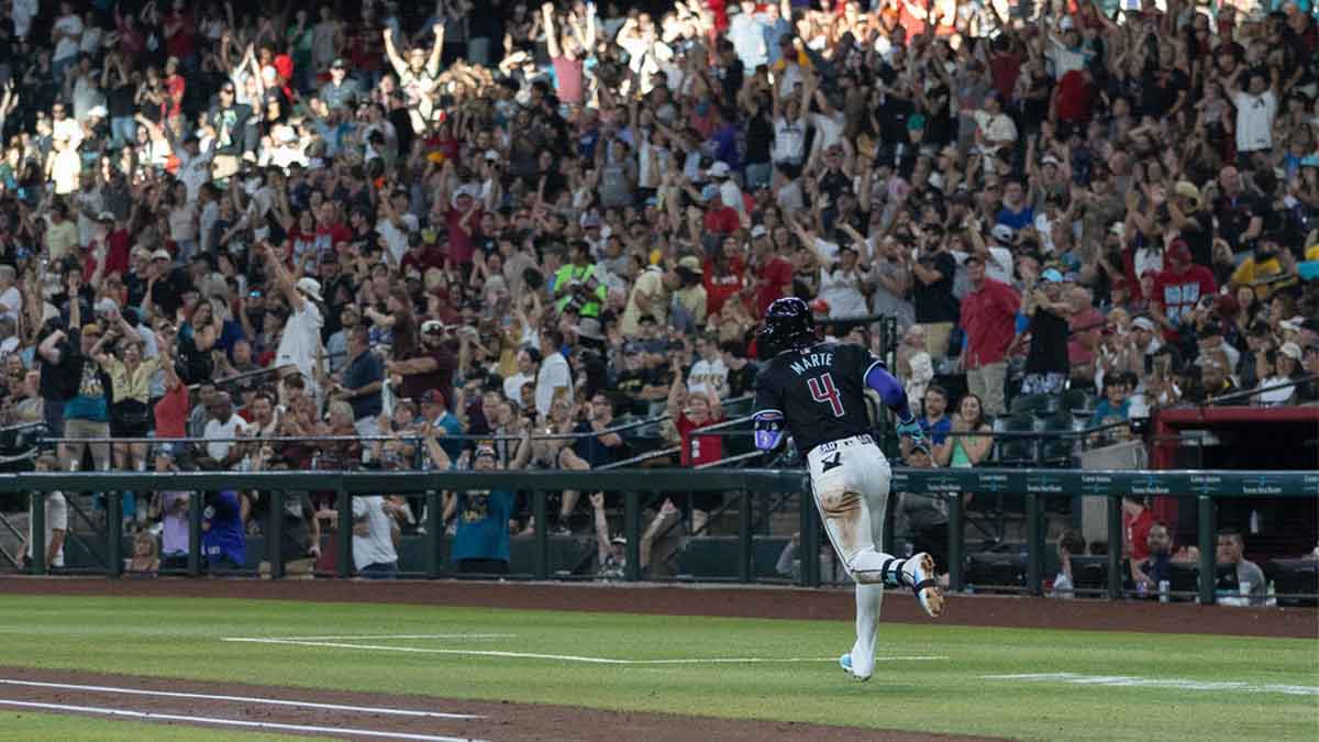 Diamondbacks fan dealt harsh punishment after interference controversy