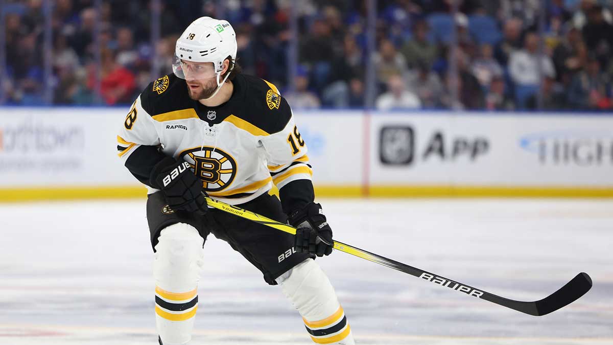 Boston Bruins center Pavel Zacha (18) looks for the puck during the first period against the Buffalo Sabres at KeyBank Center