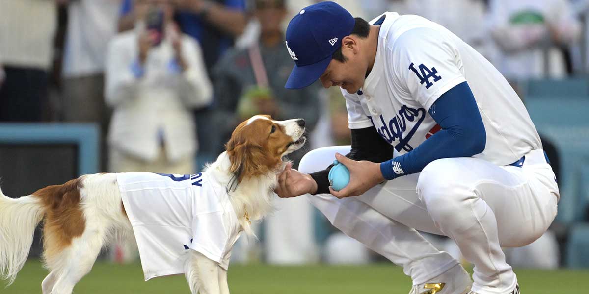 Aug 28, 2024; Los Angeles, California, USA; Decoy, the dog of Los Angeles Dodgers designated hitter Shohei Ohtani (17) waits for instruction before delivering the first pitch before the game against the Baltimore Orioles at Dodger Stadium. 
