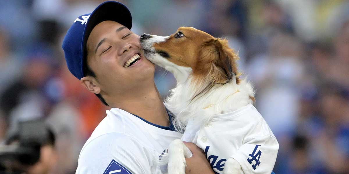 Los Angeles Dodgers designated hitter Shohei Ohtani (17) gets a kiss from his dog Decoy after he delivered the first pitch before the game against the Baltimore Orioles at Dodger Stadium.