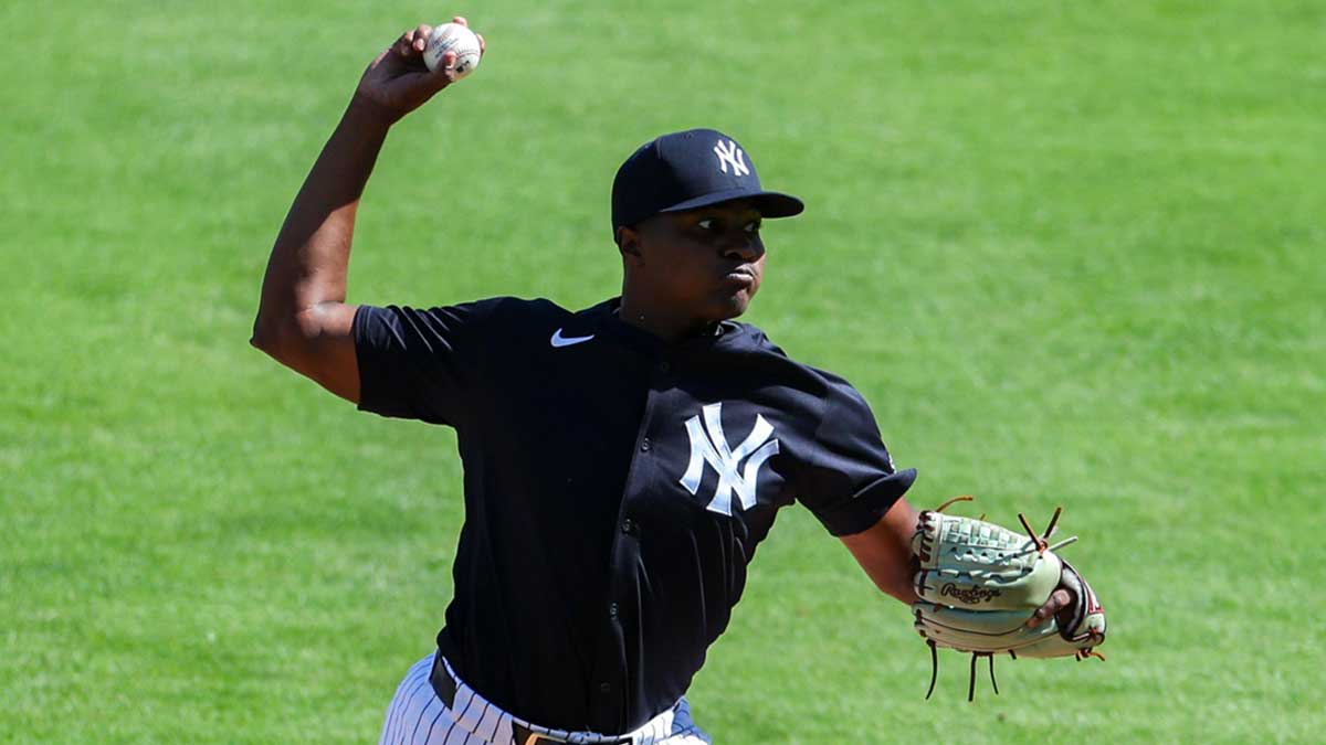 New York Yankees relief pitcher Yerry de los Santos (73) participates in spring training workouts at George M. Steinbrenner Field.