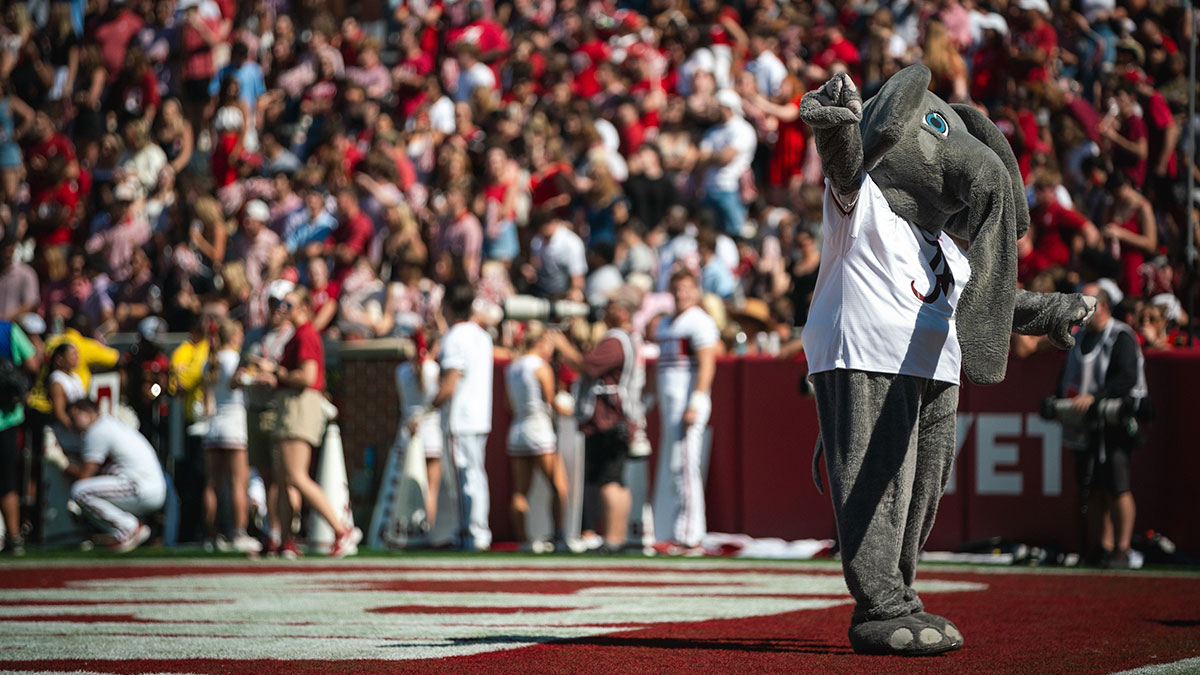 Alabama Crimson Tide mascot Big Al conducts the crowd at Bryant-Denny Stadium.