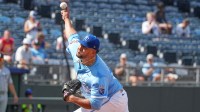 Kansas City Royals relief pitcher Carlos Estevez (53) delivers a pitch against the Chicago White Sox in the ninth inningat Kauffman Stadium.