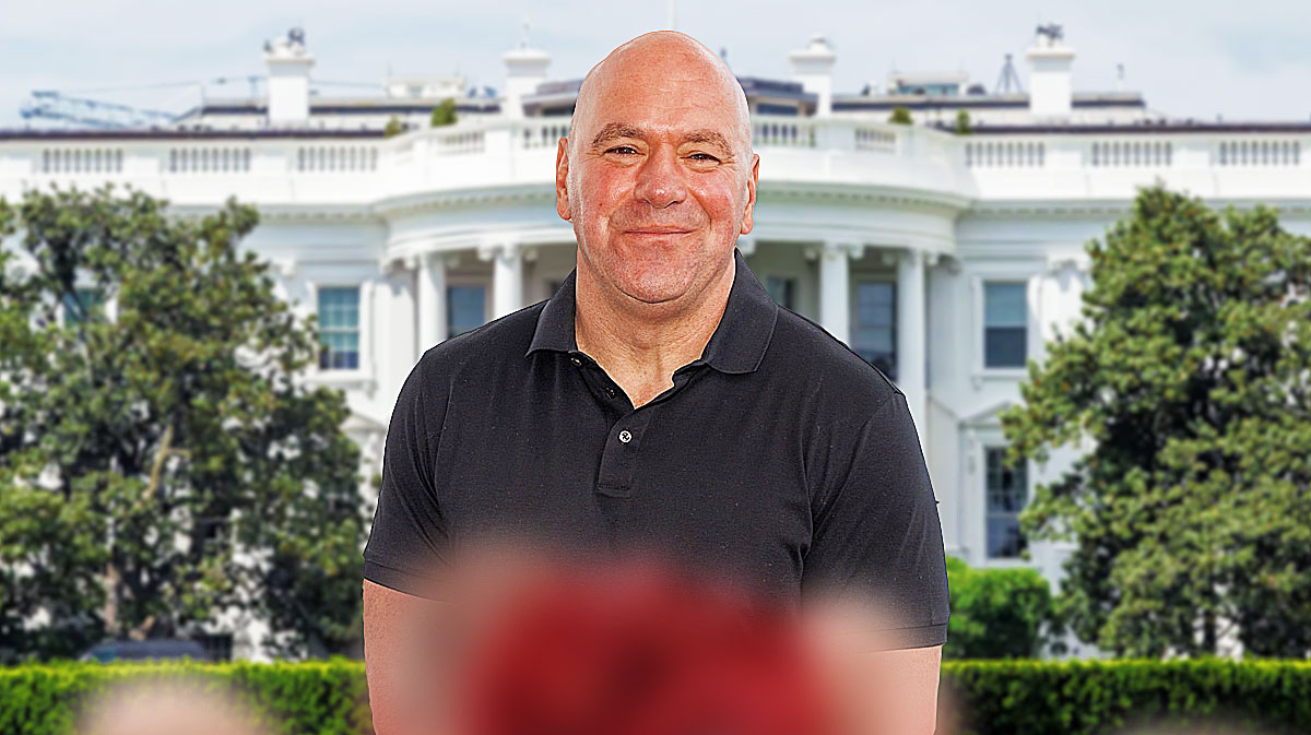 ufc, dana white, white house, trump