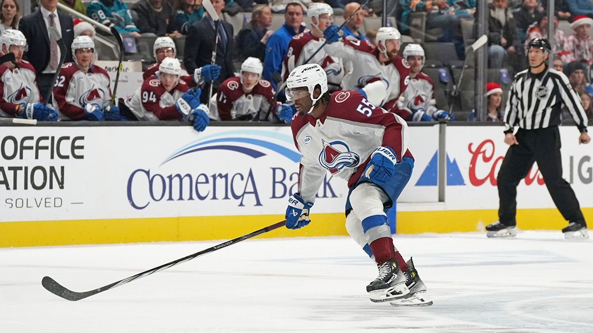 Hurricanes sign 2 veterans to professional tryouts