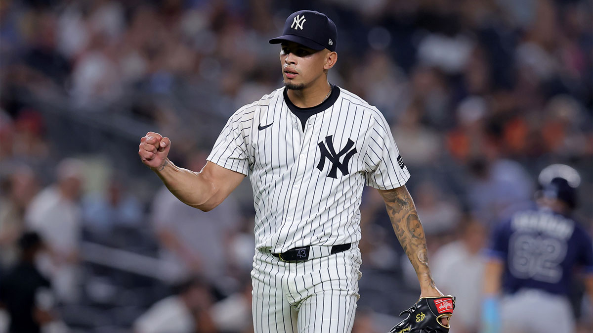 New York Yankees relief pitcher Jonathan Loaisiga (43) reacts during the eighth inning against the Tampa Bay Rays at Yankee Stadium.