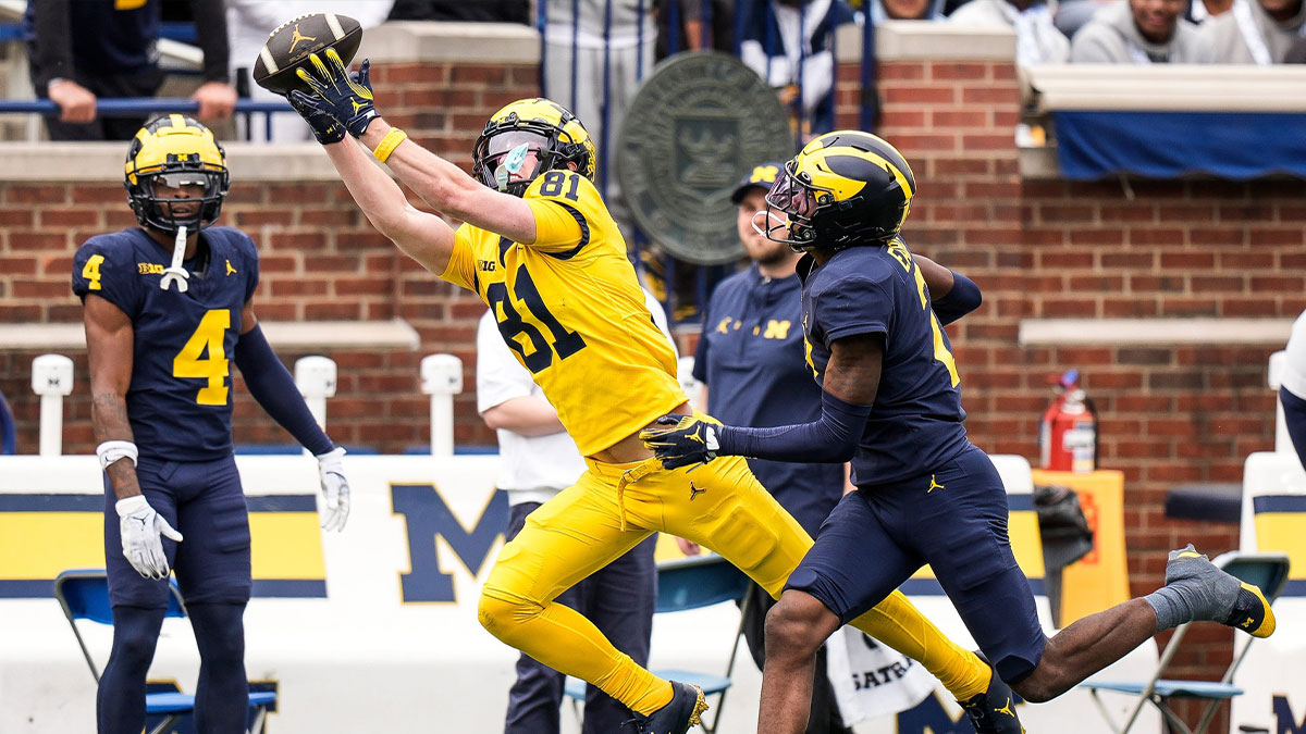 Team Maize wide receiver Peyton O'Leary (81) tries to grab a pass against Team Blue defensive back Shamari Earls (2) during the second half of the spring game at Michigan Stadium