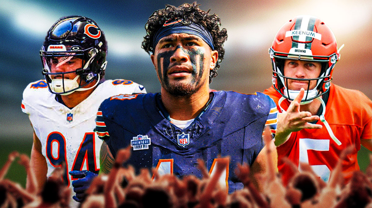 bears, chicago bears
