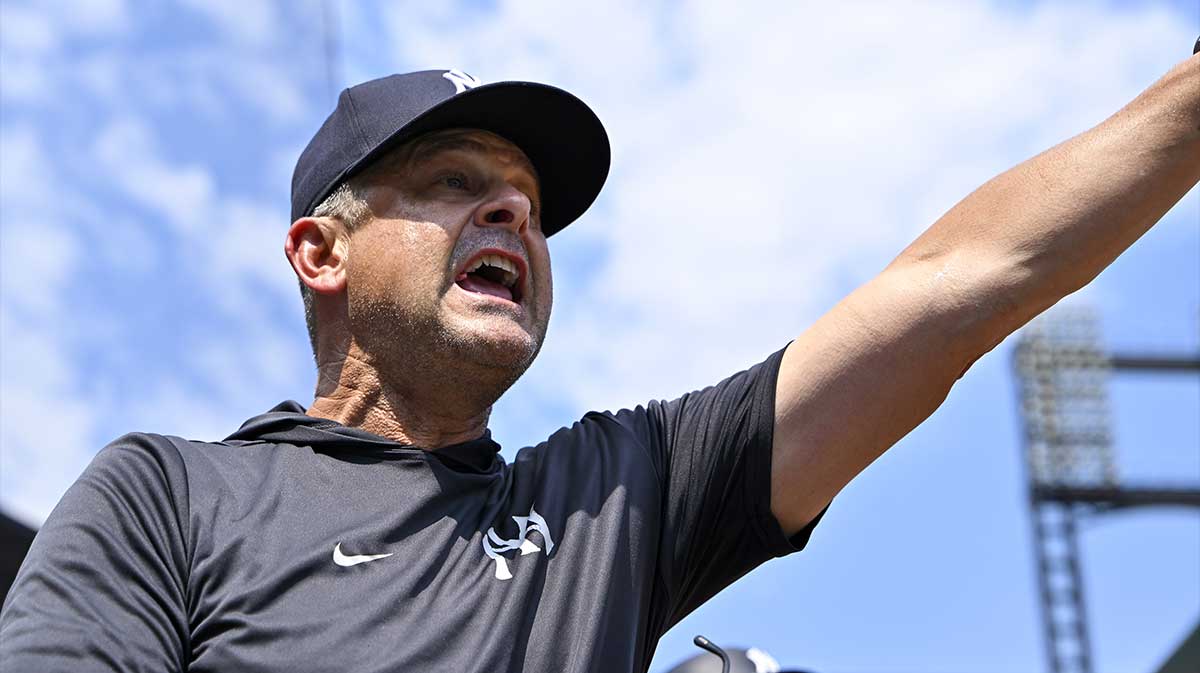 New York Yankees manager Aaron Boone (17) reacts after center fielder Trent Grisham (not pictured) was called out on strikes against the St. Louis Cardinals during the fourth inning at Busch Stadium.