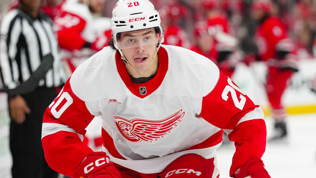 Detroit Red Wings defenseman Albert Johansson (20) skates against the Carolina Hurricanes during the second period at Lenovo Center.
