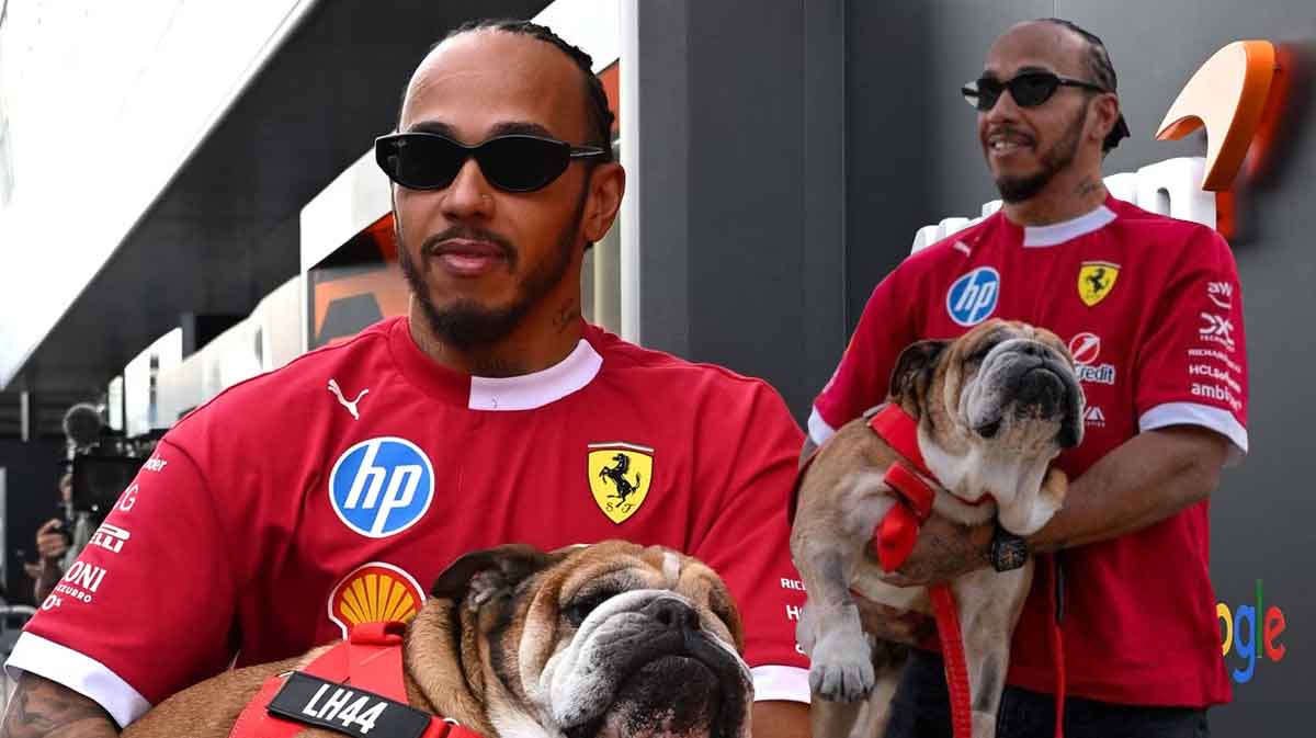 Lewis Hamilton Roscoe