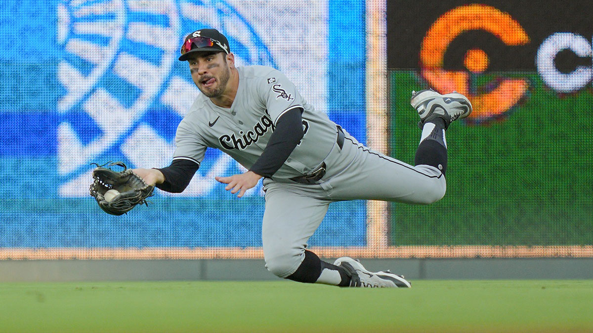 Chicago White Sox right fielder Mike Tauchman (18) makes a diving catch during the first inning against the Kansas City Royals at Kauffman Stadium.