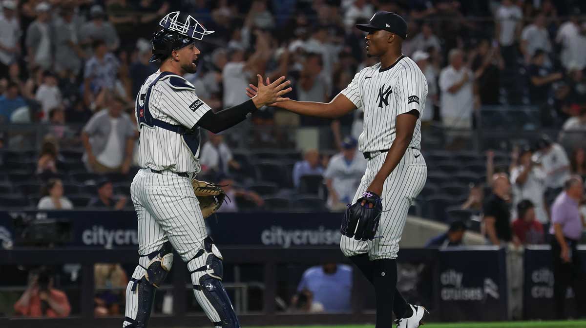 New York Yankees relief pitcher Yerry De los Santos (73) celebrates with catcher J.C. Escarra (25) after defeating the Minnesota Twins at Yankee Stadium.