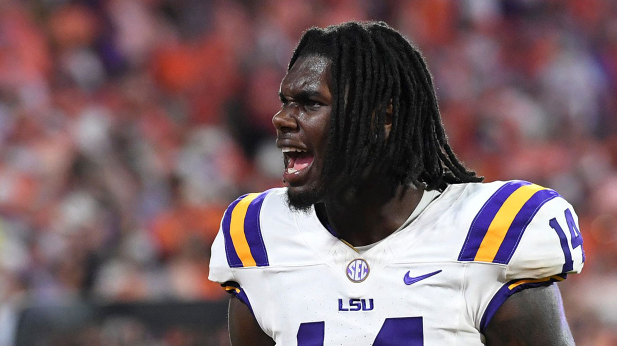 LSU Tigers tight end Trey'Dez Green (14) celebrates Saturday, Aug. 30, 2025 after the NCAA football game against the Clemson Tigers at Memorial Stadium in Clemson, South Carolina. LSU Tigers won 17-10