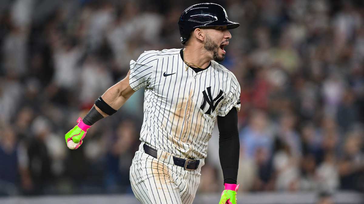 New York Yankees shortstop Jose Caballero (72) reacts after hitting a walk off single against the Chicago White Sox during the ninth inning at Yankee Stadium. 
