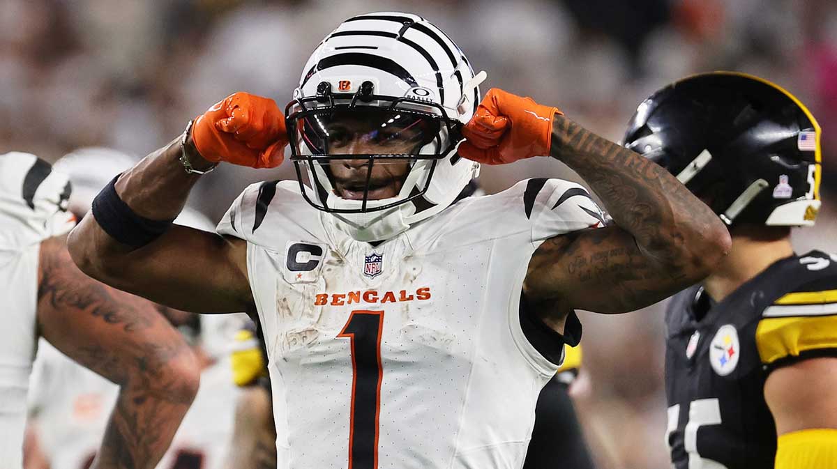 Cincinnati Bengals wide receiver Ja'Marr Chase (1) reacts after making a first down against the Pittsburgh Steelers during the third quarter at Paycor Stadium.