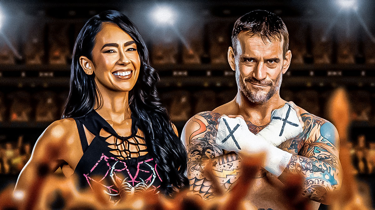 WWE’s AJ Lee hilariously responds to CM Punk’s NSFW request