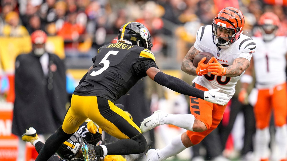 Cincinnati Bengals running back Chase Brown (30) runs the ball in the first quarter of the NFL Week 11 game between the Pittsburgh Steelers and the Cincinnati Bengals at Acrisure Stadium in Pittsburgh on Sunday, Nov. 16, 2025. The Steelers led 10-6 at halftime.