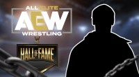 AEW veteran and WWE Hall of Famer Sting