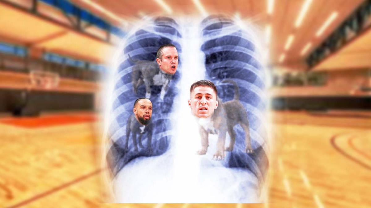 This photo (https://media.tenor.com/5Pv7UKyzepQAAAAe/got-that-dog-in-him.png) but the dogs are replaced with Phoenix Suns players Collin Gillespie, Dillon Brooks, and head coach Jordan Ott's head. In the background is the Verizon 5G Performance Center, the Suns practice facility.