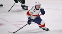 Florida Panthers center Evan Rodrigues (17) skates against the Dallas Stars during the game at the American Airlines Center