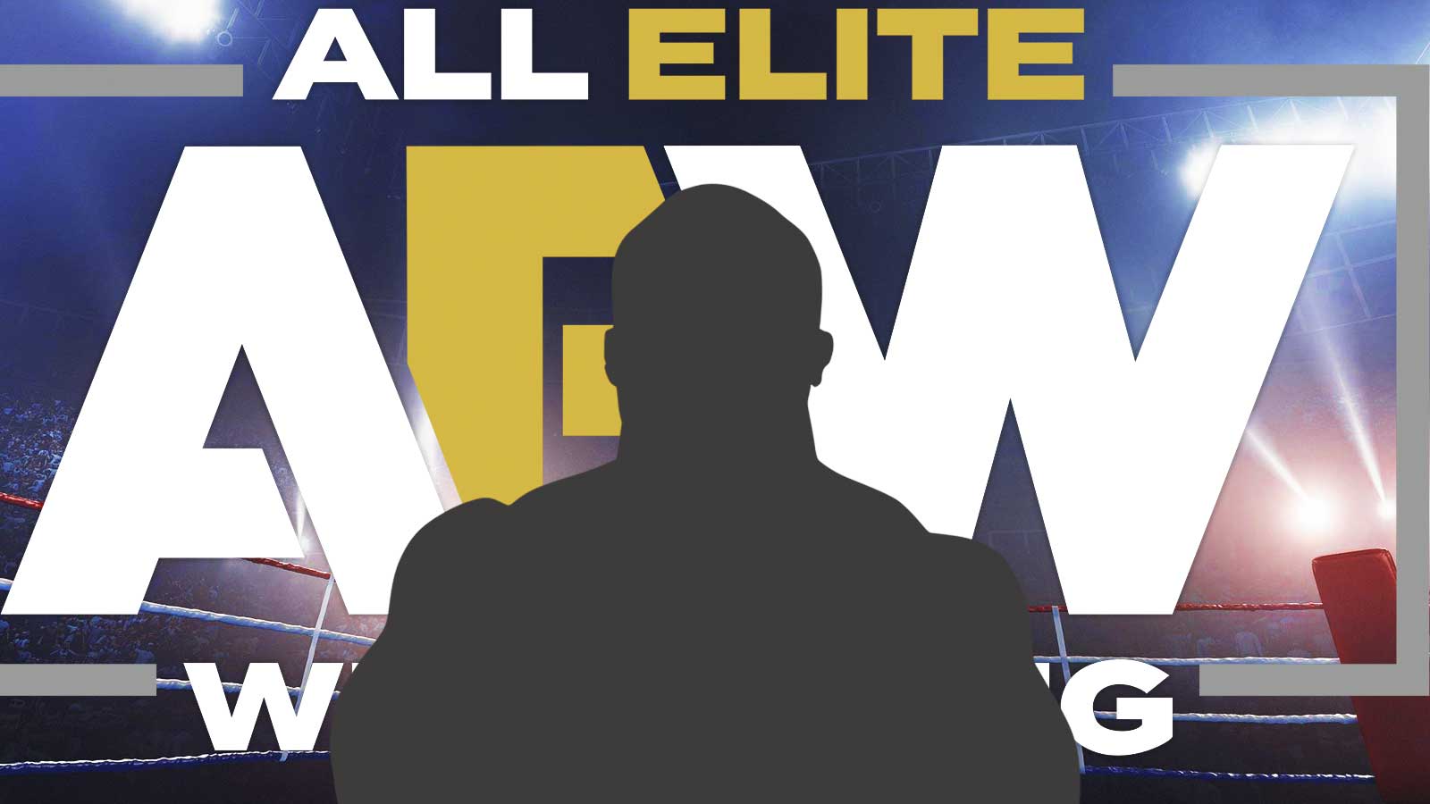 Former AEW champion injured and sidelined indefinitely