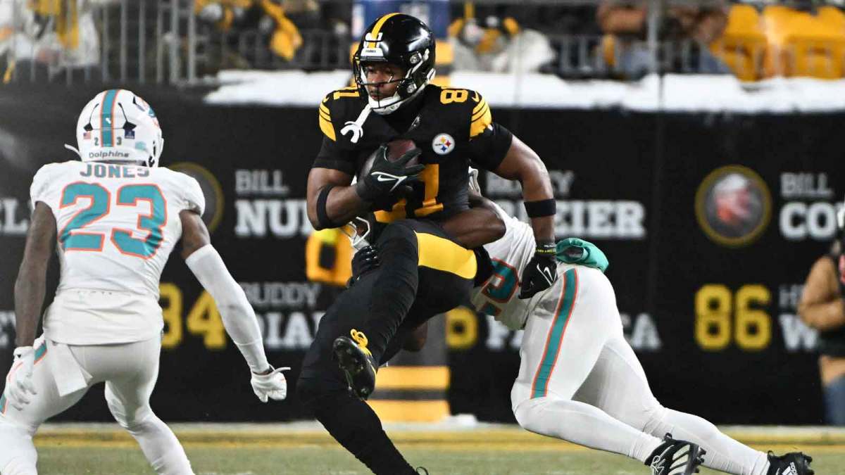 Pittsburgh Steelers tight end Jonnu Smith (81) makes a catch in the first quarter against the Miami Dolphins at Acrisure Stadium. Mandatory Credit: Barry Reeger-Imagn Images