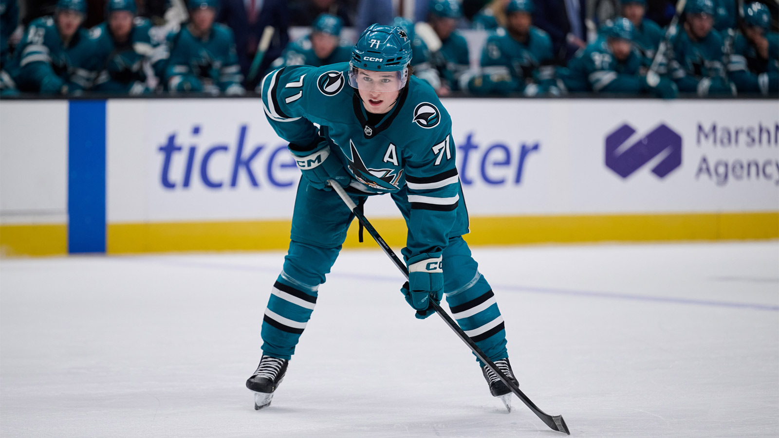 Sharks news: Macklin Celebrini gets incredible praise from Wyatt Johnston