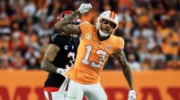 Tampa Bay Buccaneers wide receiver Mike Evans (13) reacts after catching a pass against Atlanta Falcons safety Jessie Bates III (3) (obscured) during the third quarter at Raymond James Stadium.