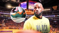 During last night's win over the Brooklyn Nets, LeBron James rocked a special edition of his LeBron 23's repping Florida A&M