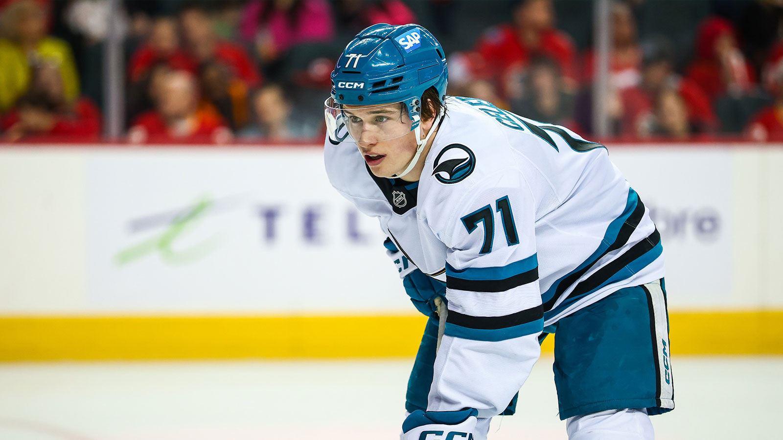 Sharks’ Macklin Celebrini shares intriguing reaction to Connor Bedard comparisons