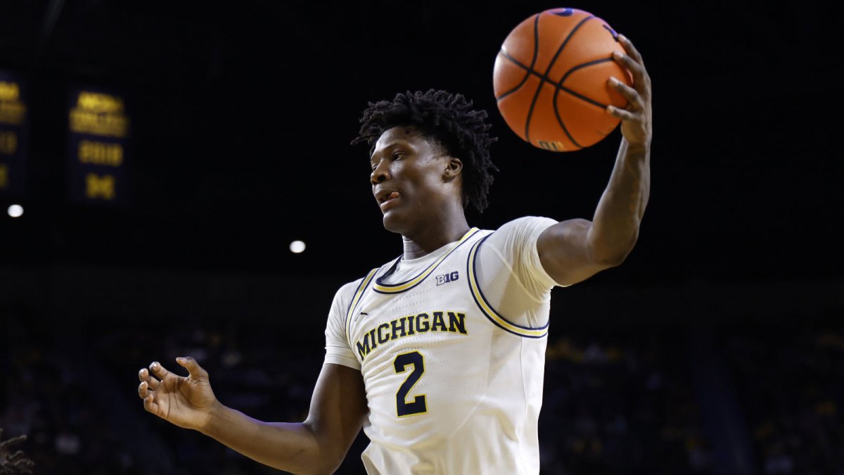 Michigan Wolverines guard L.J. Cason (2) grabs a rebound in the second half against the Minnesota Golden Gophers at Crisler Center.