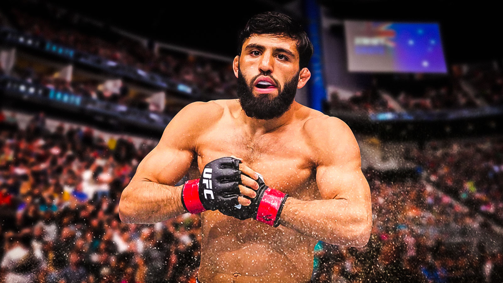 arman tsarukyan lightweight title, arman tsarukyan