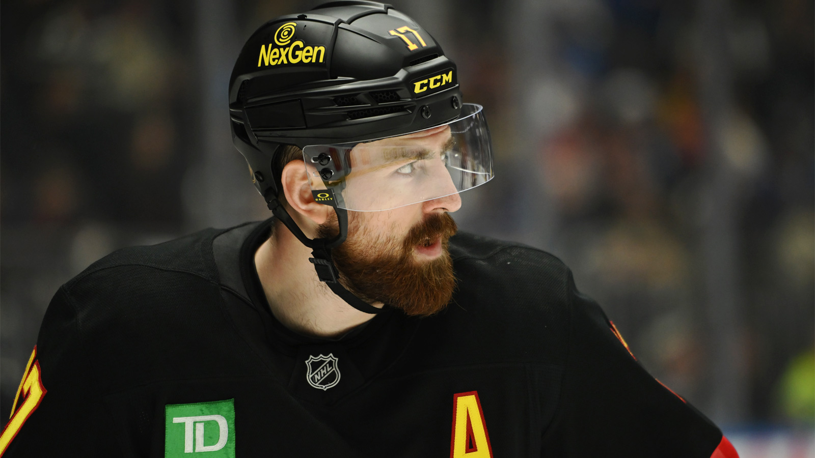Vancouver Canucks defenseman Filip Hronek (17) looks on during the first period against the St. Louis Blues at Rogers Arena. 
