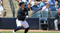 New York Yankees outfielder Randal Grichuk (34) singles during the first inning against the Detroit Tigers at George M. Steinbrenner Field.