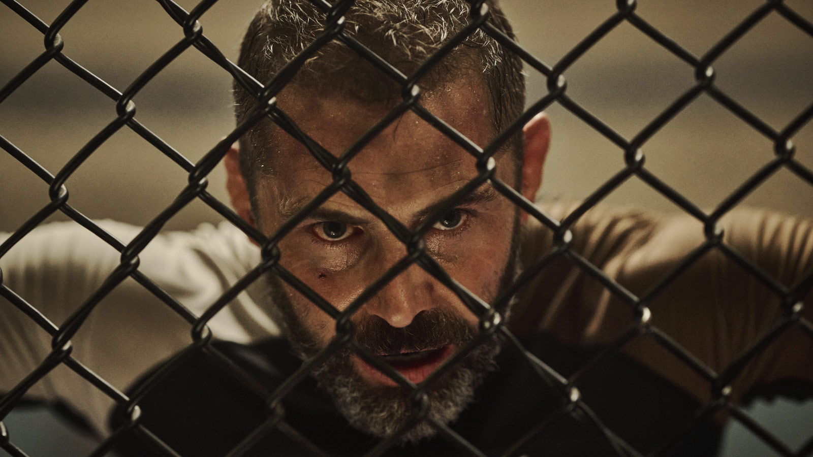Exclusive: How Beast star Daniel MacPherson’s unique Russell Crowe relationship shines in MMA film