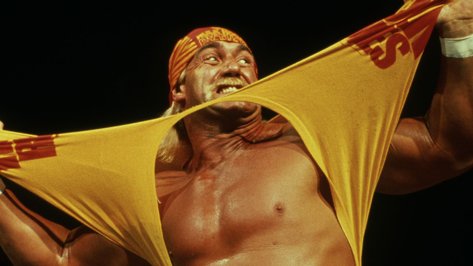 WWE legend Hulk Hogan.