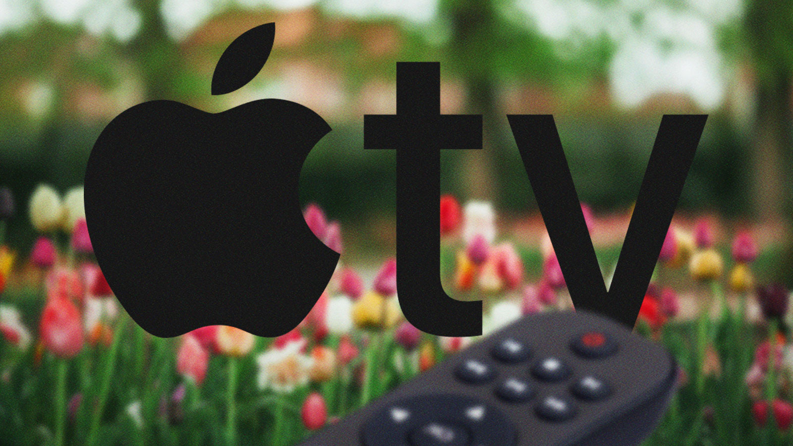 New to Apple TV in May 2026